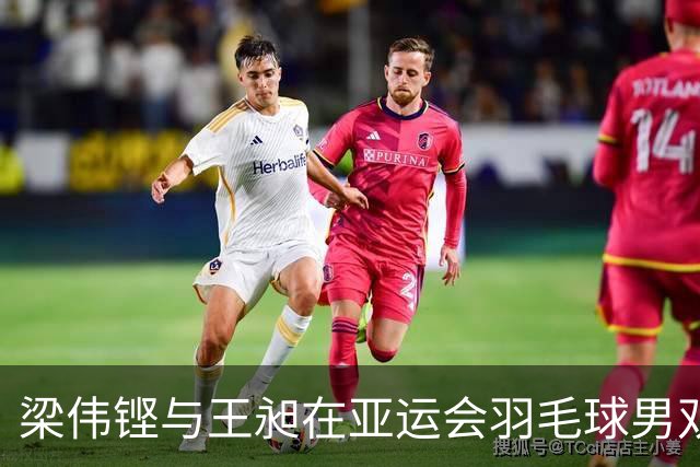 梁伟铿与王昶在亚运会羽毛球男双决赛中遗憾夺银